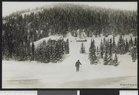 19. 111 Vestend. Nordmarken - no-nb digifoto 20151020 00105 bldsa PK04752.jpg