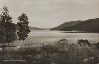 11452 Parti ved Storsjøen - no-nb digifoto 20150804 00089 bldsa PK28956.jpg