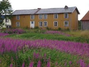 11494 Hunstad i Bodoe.jpg