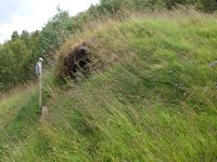 3. 11605 Husmannsplassen Kjelvik.jpg