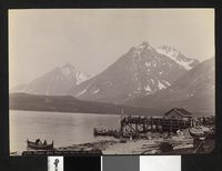 342. 1173. Tromsø Amt, Parti ved Gjøvik ved Ulfsfjord - no-nb digifoto 20160108 00271 bldsa AL1173.jpg