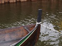 Framstamnen på ein storfæring. Foto: Olve Utne