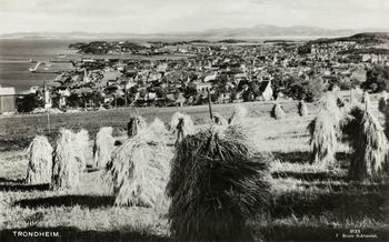 123 Trondheim - no-nb digifoto 20150623 00076 bldsa PK16714.jpg