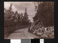 34. 129. Ringerike, Parti mellem Sundvolden og Humledal - NB bldsa AL0129.jpg