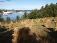 40. 13434 Eidestranda - konnband.jpg