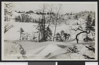 Vinterbilde. Foto: Nasjonalbiblioteket