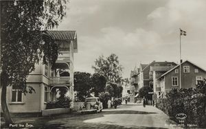 144. Parti fra Ørje. - no-nb digifoto 20150608 00007 bldsa PK30383.jpg