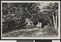110. 1443 Kristiania. Fra Kampens Park - no-nb digifoto 20151015 00107 bldsa PK03840.jpg