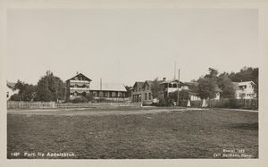 1461 Parti fra Aadalsbruk - no-nb digifoto 20150803 00181 bldsa PK28640.jpg