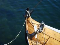 Halvfjerderømming i Vågen i Kristiansund på Nordmøre. Foto: Olve Utne (2007).