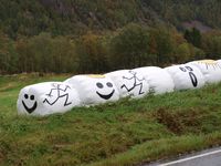 378. 14806 traktoregg i Aarvaagen.jpg