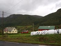 143. 14812 traktoregg i Aarvaagen.jpg