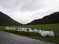 301. 14821 traktoregg i Aarvaagen.jpg