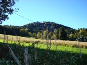 14a-Valbersberjet Næroset.JPG