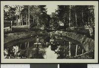 67. 1514 Fra Hamar Park - no-nb digifoto 20150630 00002 bldsa PK25354.jpg