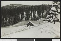 16. 157 Vestend Nordmarken - no-nb digifoto 20151020 00106 bldsa PK04754.jpg