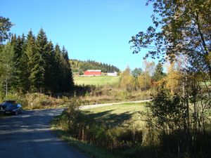 16-Kinde Næroset.JPG