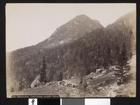 81. 178. Thelemarken, Vestfjorddalen, nedenfor Rjukan - NB bldsa AL0178.jpg