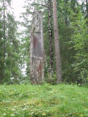 17 Maistein Vinje bilde 02 hele.jpg