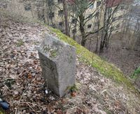 Grensestein nr. 31 står på en fjellknaus nedenfor Baglerfaret 10. Foto: Stig Rune Pedersen