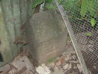 Grensestein nr. 37 står inne på området til Etterstad kolonihage, parsell nr. 16. Foto: Stig Rune Pedersen