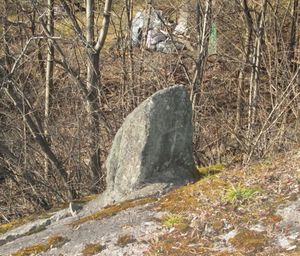 1878-grensestein Aker Kristiania nr 8.JPG