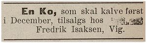 I 1909 selger Fredrik Isaksen ei ku (Grimstad adressetidende 23/9 1909)