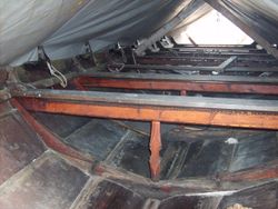 Toskgansbåt. Foto: Olve Utne (2007).