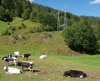 STN på Mo i Surnadal kommune, juli 2010.