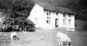 1935 (ca) Dalan under Hals paa Tustna.jpg