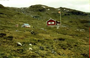 1961AurlandsdalenSteinbergdalshytta.jpg