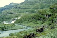 1961. Mot Grøna. Den gamle stien kan skimtes i åsen stigende opp for å krysse elven Grøna ovenfor fossefallet. Dagens turistrute faller her sammen med den gamle kløvvegen via Grønneseter (nå fritidhus) og ned lien til Aurdalen. Foto: Frode Inge Helland