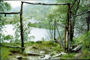 1961 Aurlandsdalen mot Nesbøgalden-og-Nesbø.jpg