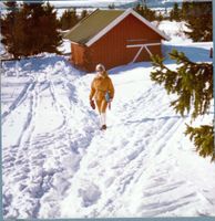 1973. Uthuset på Vidsyn. Utedo bakerst til venstre, så vedskåle. Reidunn på vei opp mot hytta.