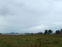 114. 1981 Fitjan.jpg