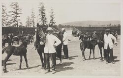 Hesteutstilling på Frogner stadion under «Bøndernes Uge». Foto: Nasjonalbiblioteket