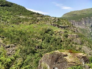 2001 07 07 Aurlandsdalen Teigen1.jpg