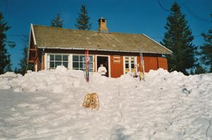 2003-Vidsyn i våre hjerter.jpg