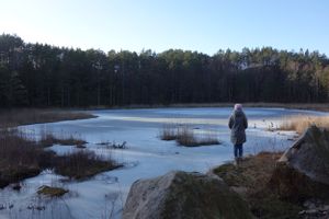 20160131-Agnedalstjonna-Lindesnes.jpg