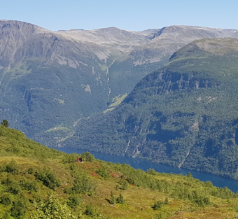 20180727 150356crop.png