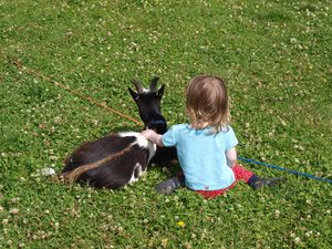 20198 Oppdal dverggeit.jpg