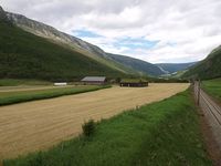 8. 20308 Drivstoggo.jpg