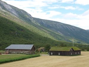 20309 Drivstoggo.jpg