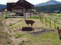 96. 20441 Folldal 145 Stor-Eide 3 Sletten.jpg