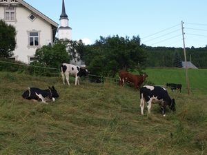 21071 134-1 Sogarn Hov.jpg