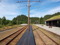 Foto: Olve Utne (2010).