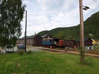 Foto: Olve Utne (2010).