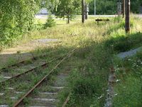 Foto: Olve Utne (2010).