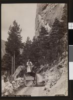 24. 2184. Sætersdalen, Mellem Valle og Bykle - no-nb digifoto 20151105 00125 bldsa AL2184.jpg