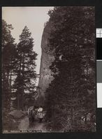 19. 2185. Sætersdalen, Mellem Valle og Bykle - no-nb digifoto 20151105 00126 bldsa AL2185.jpg